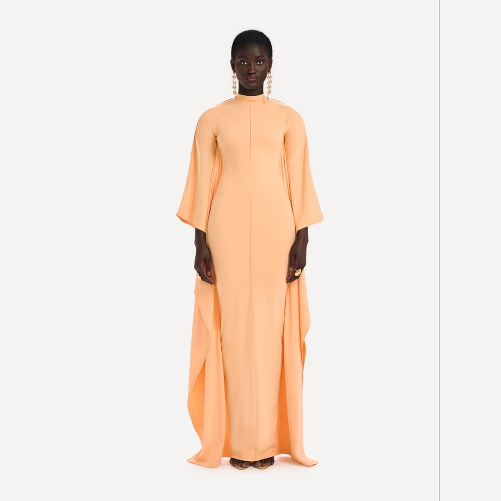 BBX Brand Batwing Gown - Peach